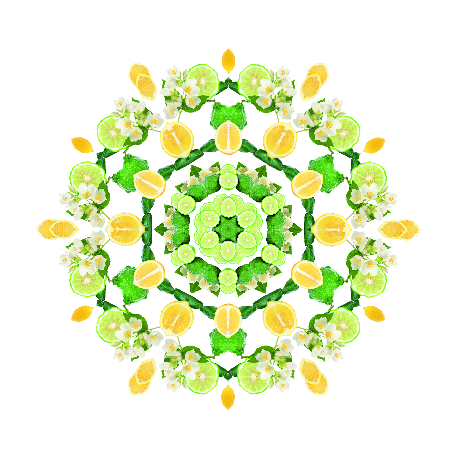 Prickelnde Zitrusblüte