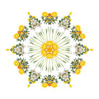 Zitronengras