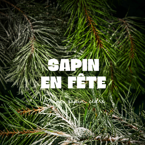 Festive Fir (Festlicher Tannenbaum)