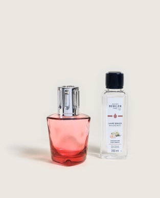 Set Lampe Berger Terra Rot & Duft Schwarze Angelika