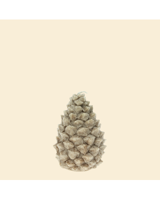Kerze Tannenzapfen 6H Beige