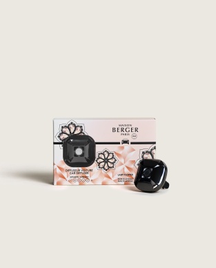 Autodiffusor Eternity Gun Métal - Lady Flower