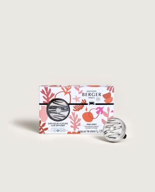 Autodiffusor Sommer - Fresh Spirit