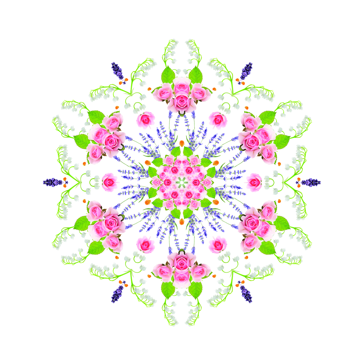 Aroma Dream Délicatesse ambrée