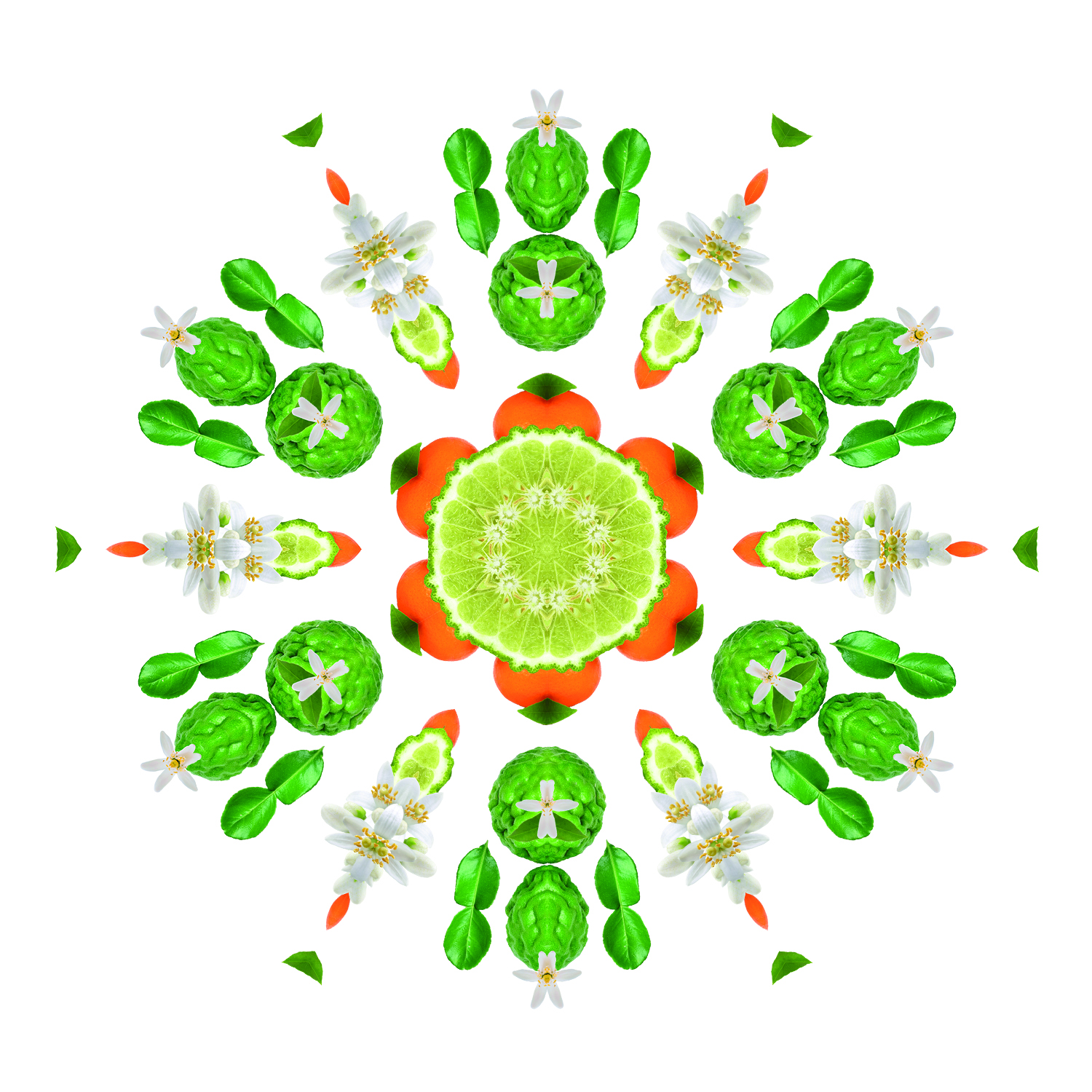 Eclatante Bergamote