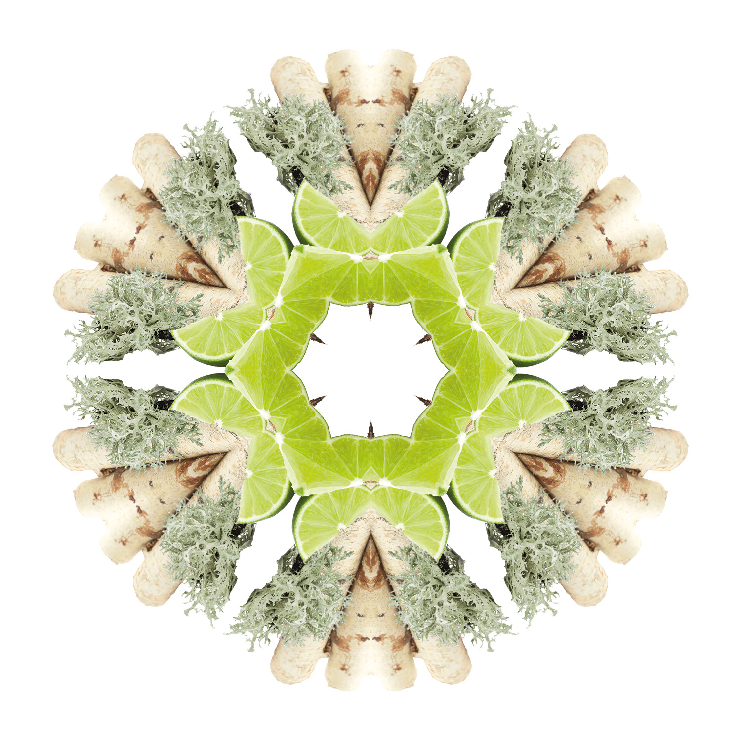 Terre Sauvage