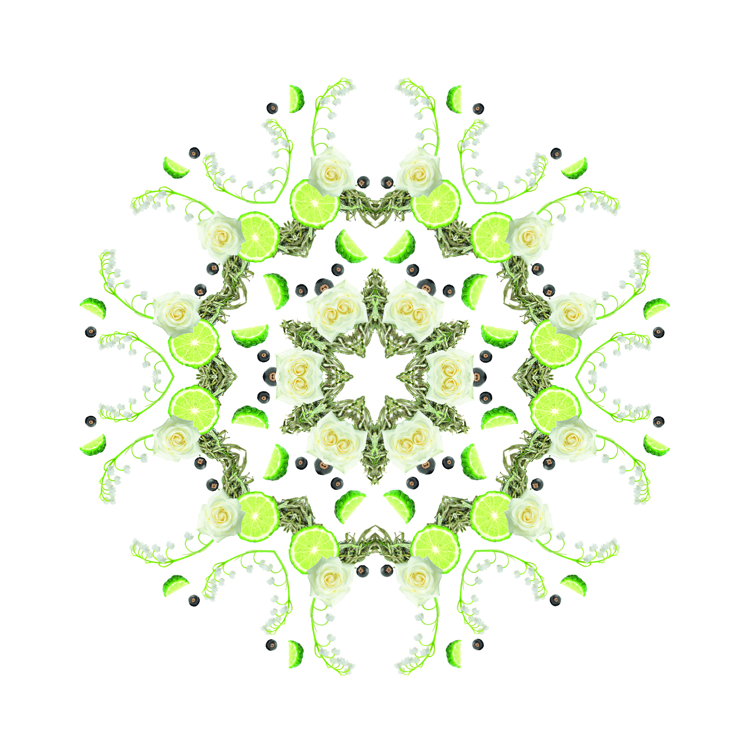 Thé Blanc Pureté