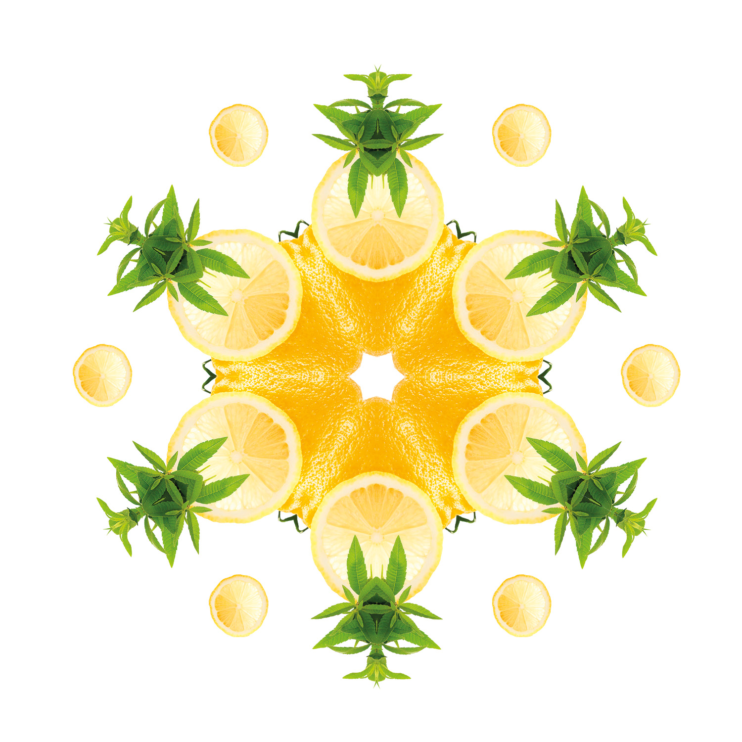 Zeste de Verveine