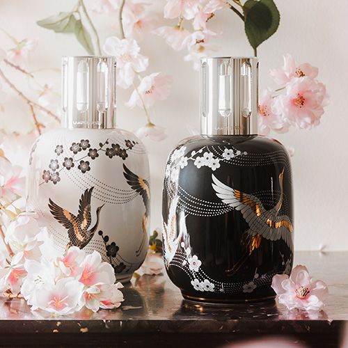 Collection Sakura