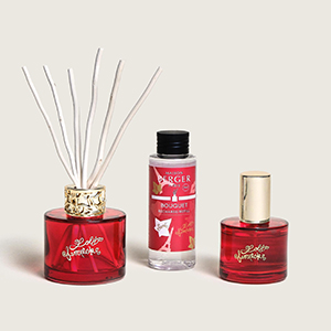 Coffrets mini bouquet & spray d'intérieur